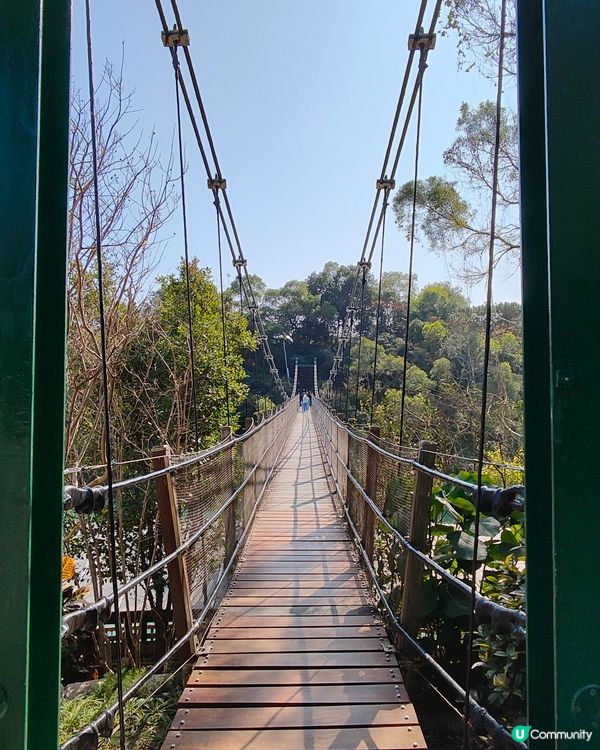 黑沙水庫 水塘 吊橋 滑草