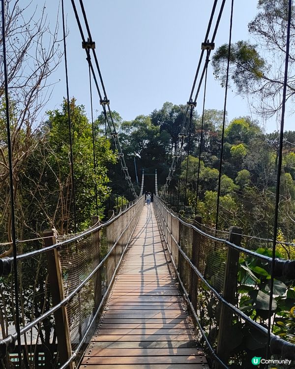 黑沙水庫 水塘 吊橋 滑草
