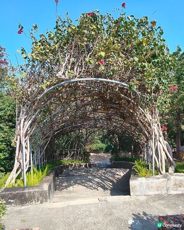 黑沙水庫 水塘 吊橋 滑草