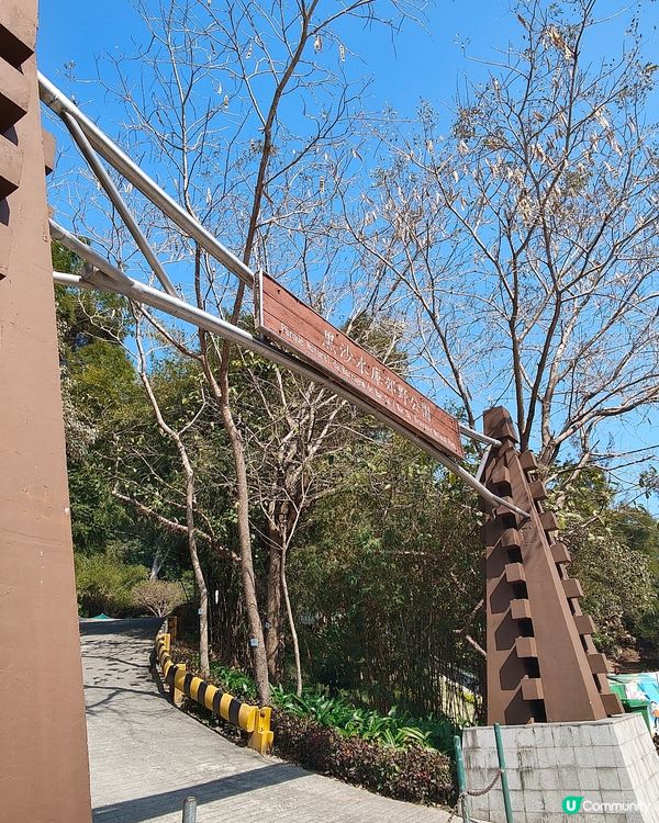 黑沙水庫 水塘 吊橋 滑草