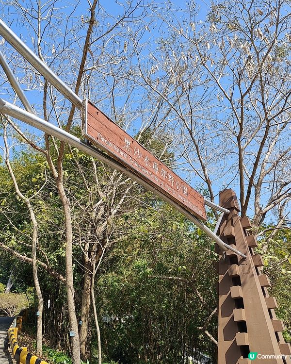 黑沙水庫 水塘 吊橋 滑草