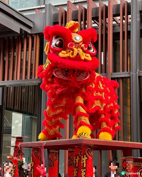 大年初三。舞獅獻瑞💮