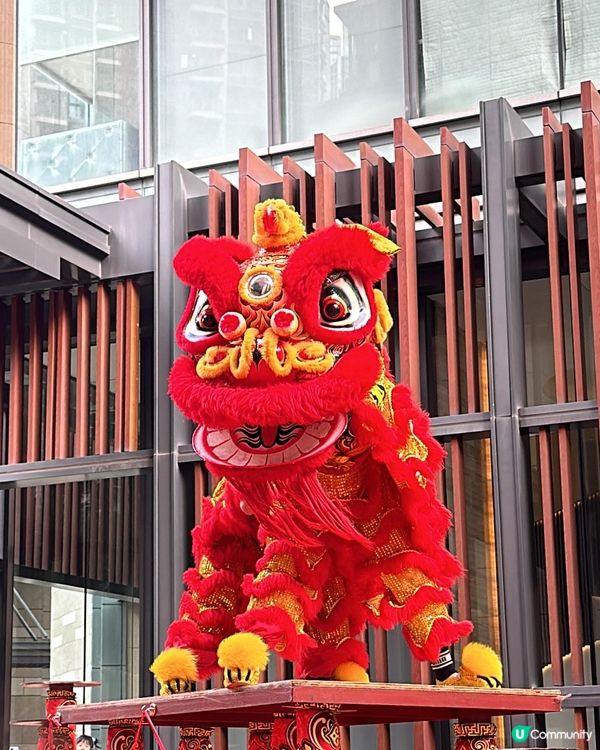 大年初三。舞獅獻瑞💮