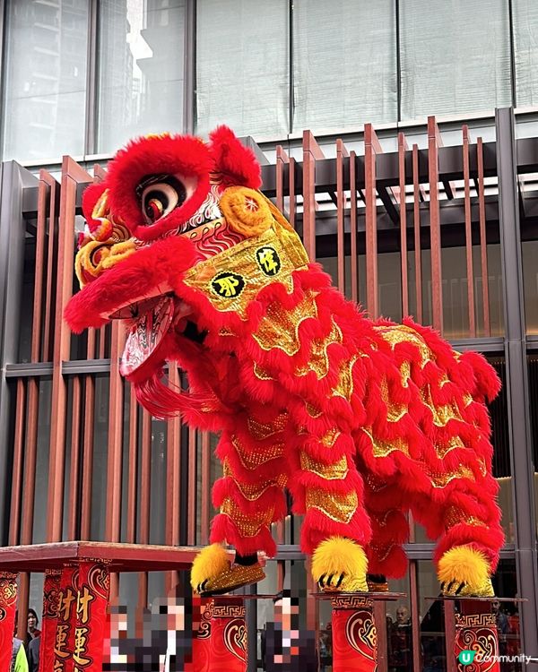 大年初三。舞獅獻瑞💮