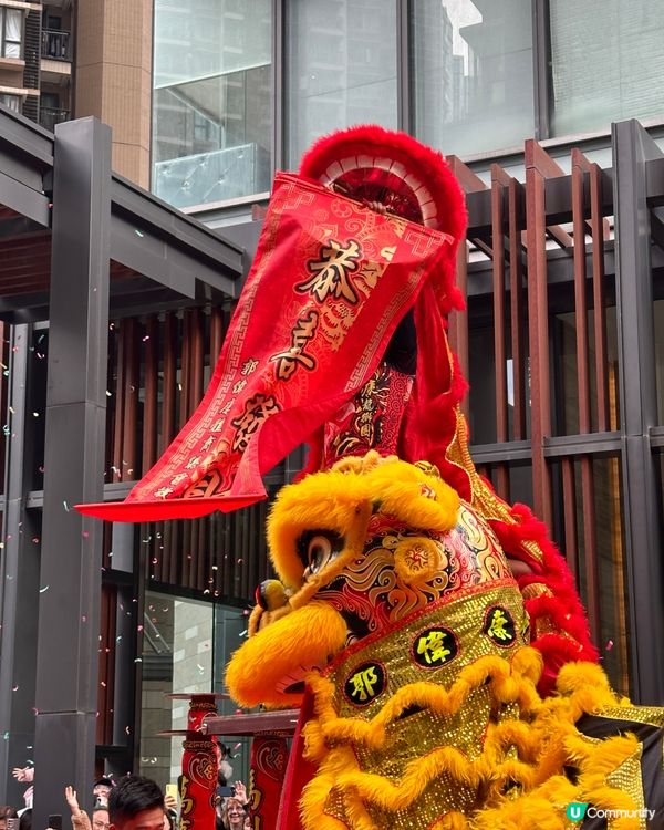 大年初三。舞獅獻瑞💮