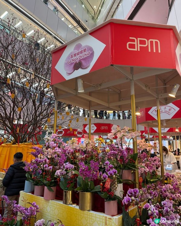 APM新年熊貓市集