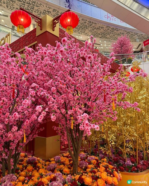 APM新年熊貓市集