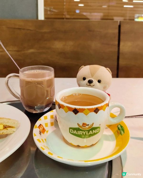 《屯門早茶晚鍋》