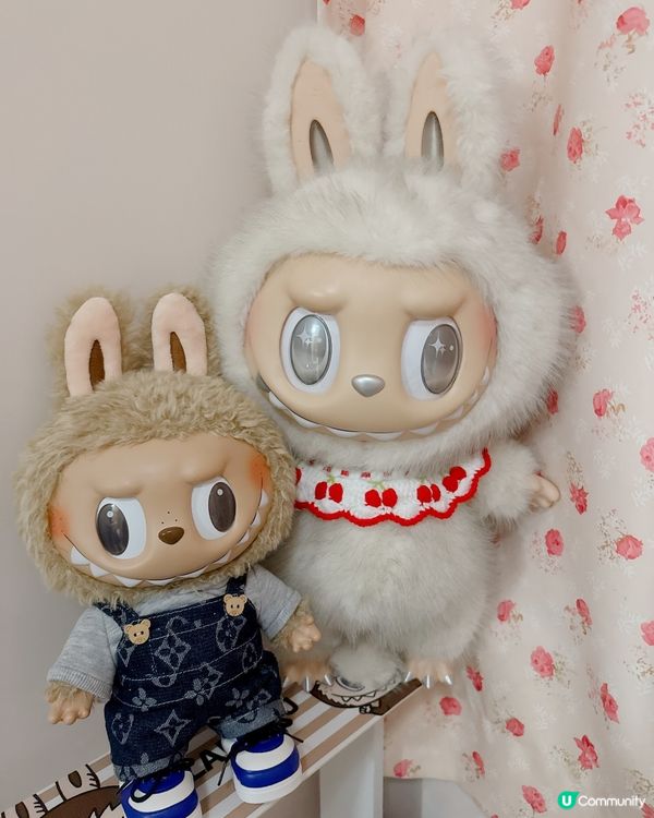 返深圳買超可愛大天使攻略