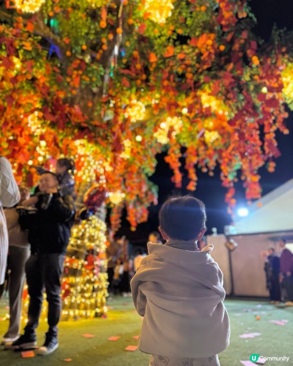 林村許願樹🏮新年打卡必去地！🤩