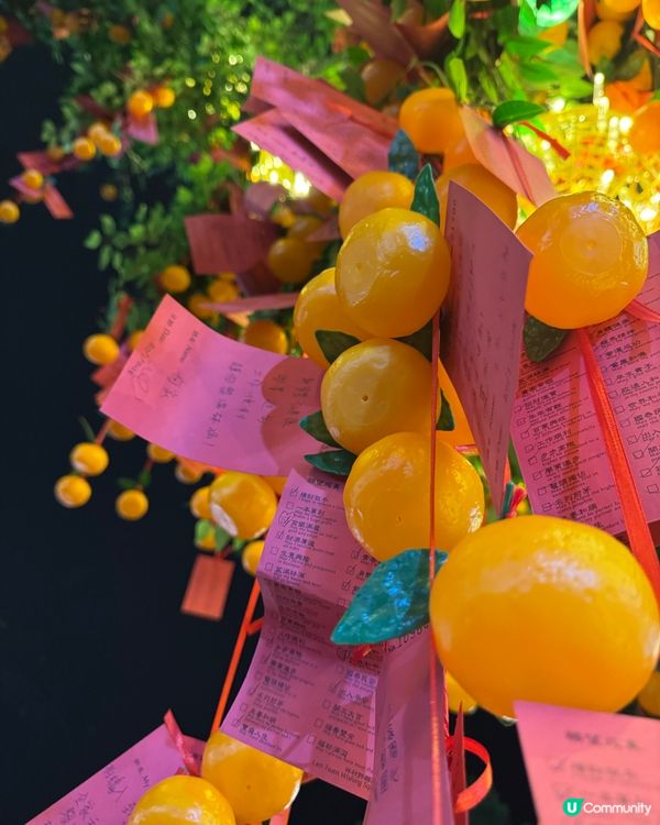 林村許願樹🏮新年打卡必去地！🤩