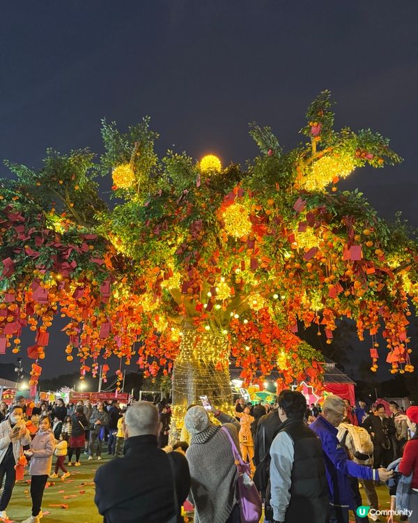 林村許願樹🏮新年打卡必去地！🤩
