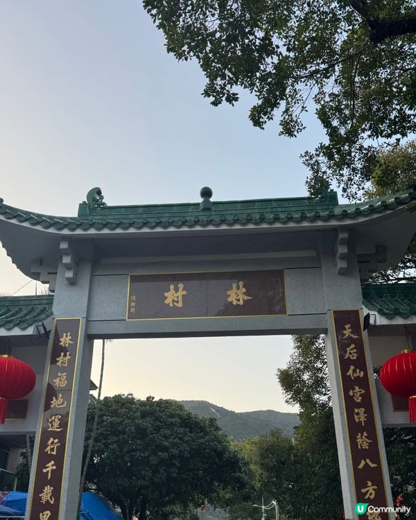 林村許願樹🏮新年打卡必去地！🤩