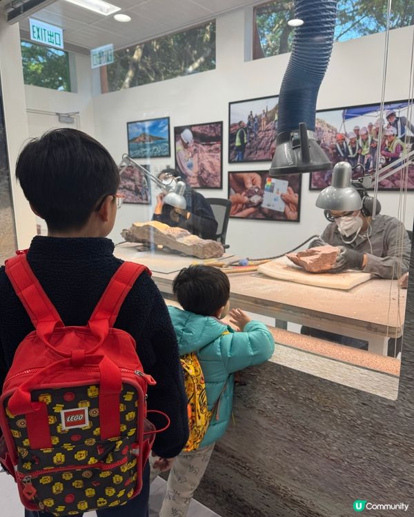 #隱藏市區親子景點😍 #免費入場🆓 🏛️免費睇船+恐龍化石🦖