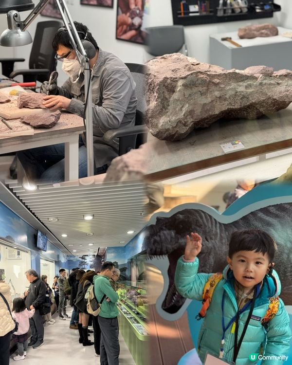 #隱藏市區親子景點😍 #免費入場🆓 🏛️免費睇船+恐龍化石🦖