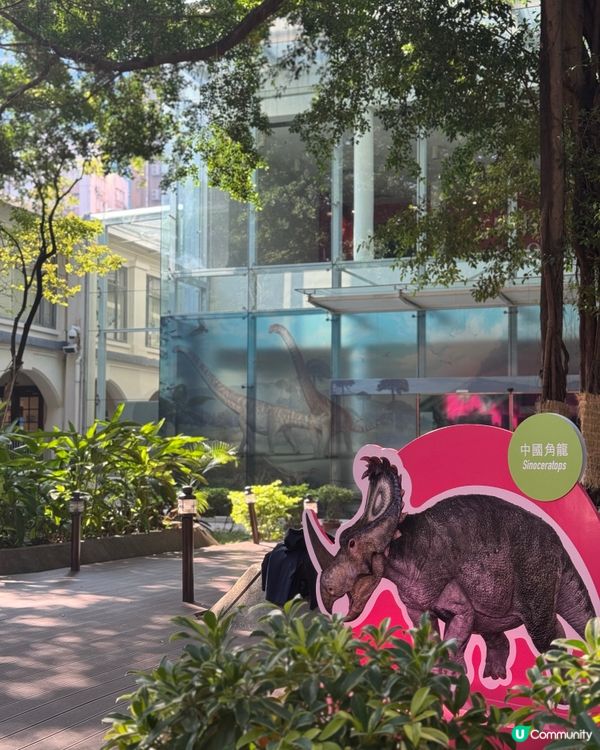 #隱藏市區親子景點😍 #免費入場🆓 🏛️免費睇船+恐龍化石🦖