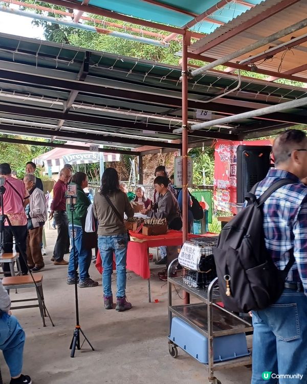 盬田梓春節开茶果儀式