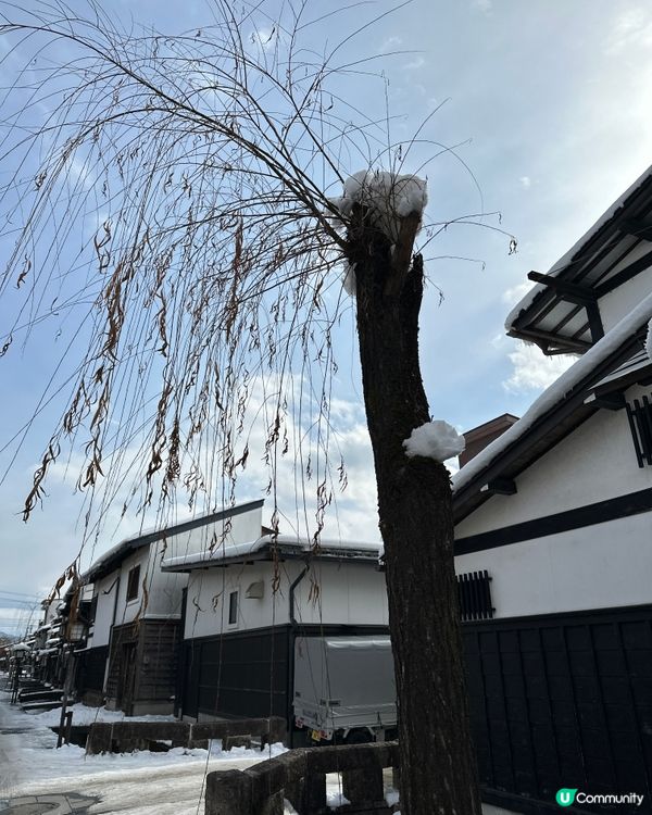 ## 冬日飛驒古川❄️ 美到唔洗影相都靚！