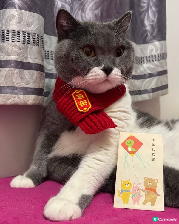 恭喜發財利是逗來🧧🧧🧧