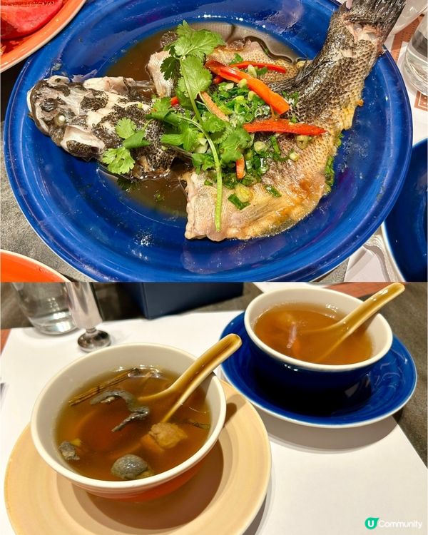 [澳門推介]澳門自助餐界天花板🤩自助山