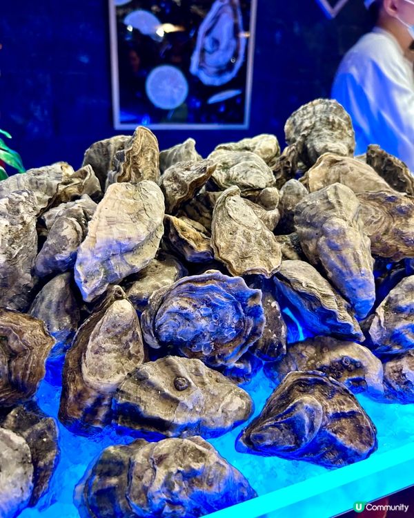 [澳門推介]澳門自助餐界天花板🤩自助山