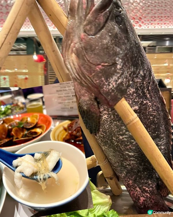 [澳門推介]澳門自助餐界天花板🤩自助山