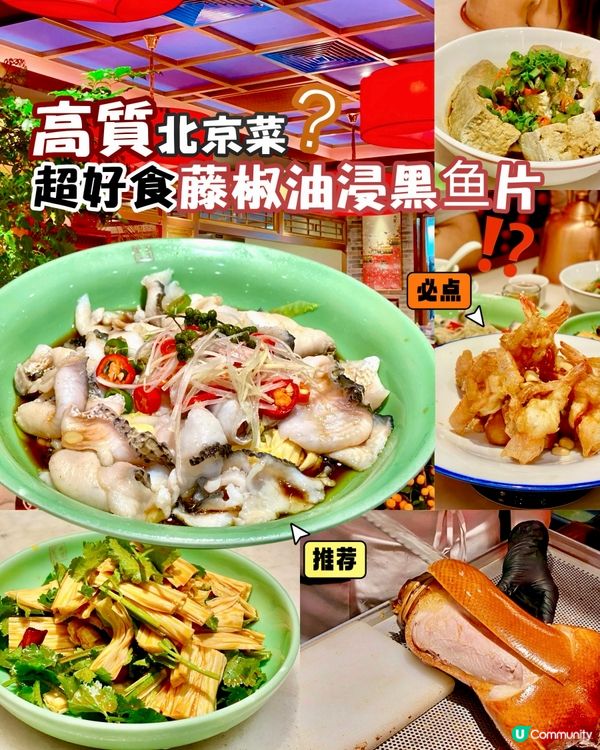 ✨深圳🇨🇳-💬🧧好食藤椒油浸黑鱼片⁉️🎉高質北京菜⁉️📣📍小吊梨湯