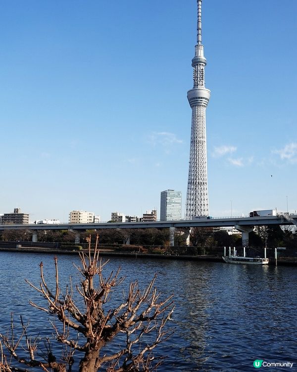 ## 日本旅行打卡必備！自由鳥外遊數據卡📱🇯🇵