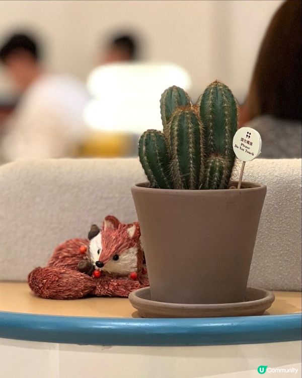 二訪尖沙咀高質韓式cafe🇰🇷☕️✨