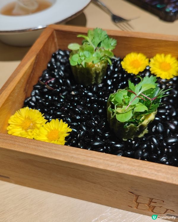 LEDU Bangkok- 自家種植