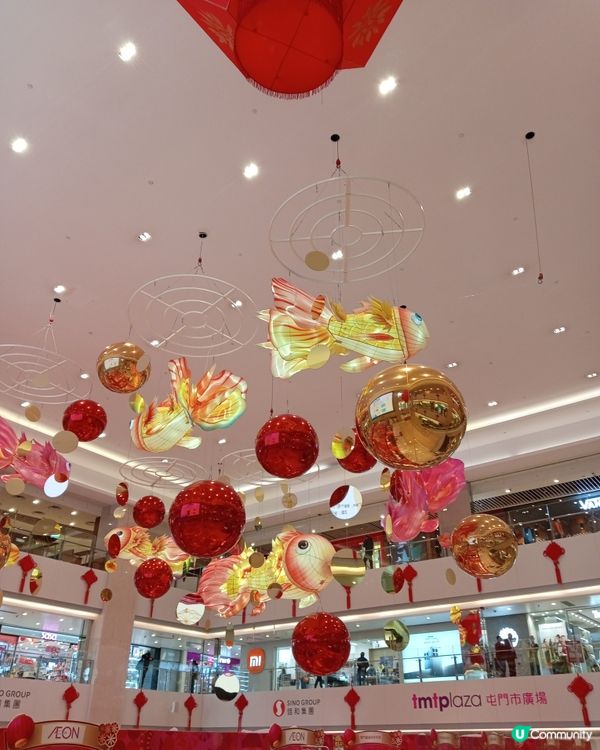  屯市魚躍💯金銀滿屋😍