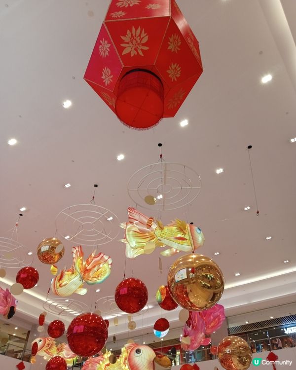  屯市魚躍💯金銀滿屋😍