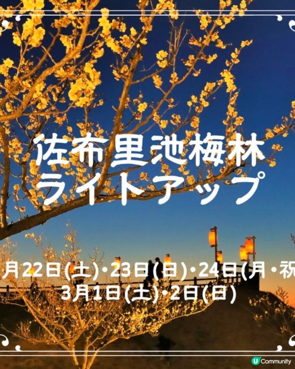 ✨能即場換裝打卡的梅花祭👘