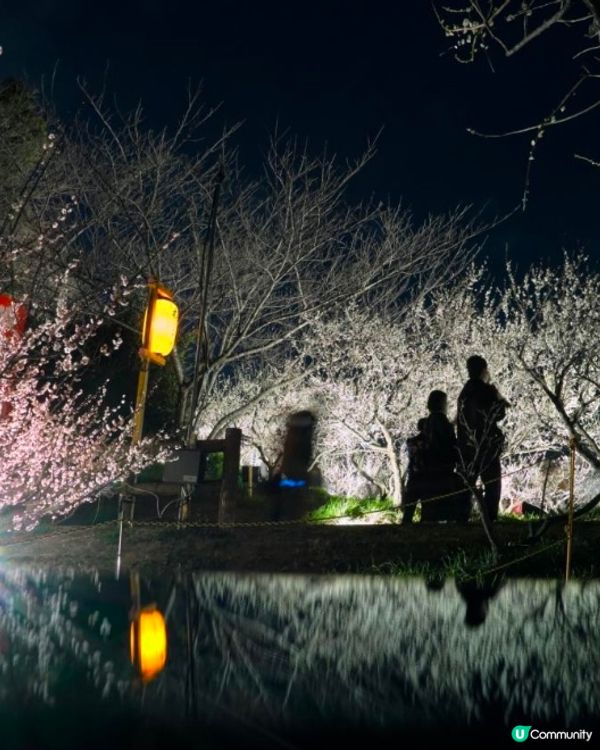 ✨能即場換裝打卡的梅花祭👘