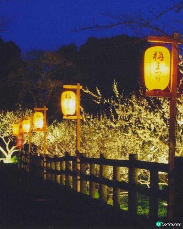 ✨能即場換裝打卡的梅花祭👘