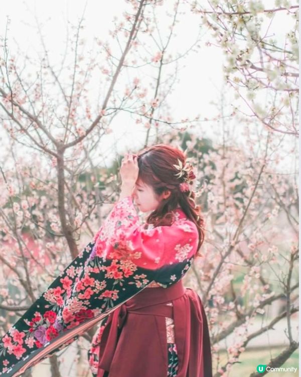 ✨能即場換裝打卡的梅花祭👘