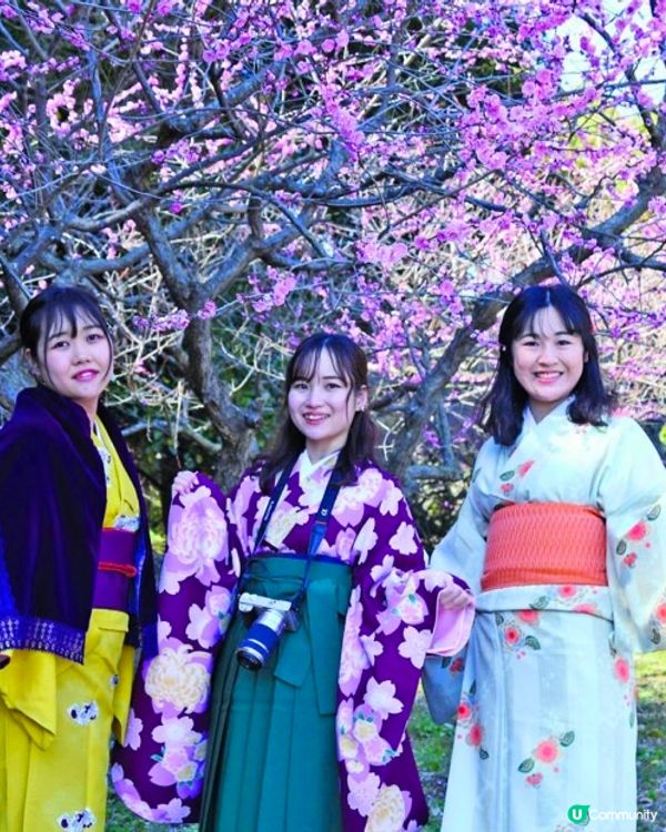 ✨能即場換裝打卡的梅花祭👘