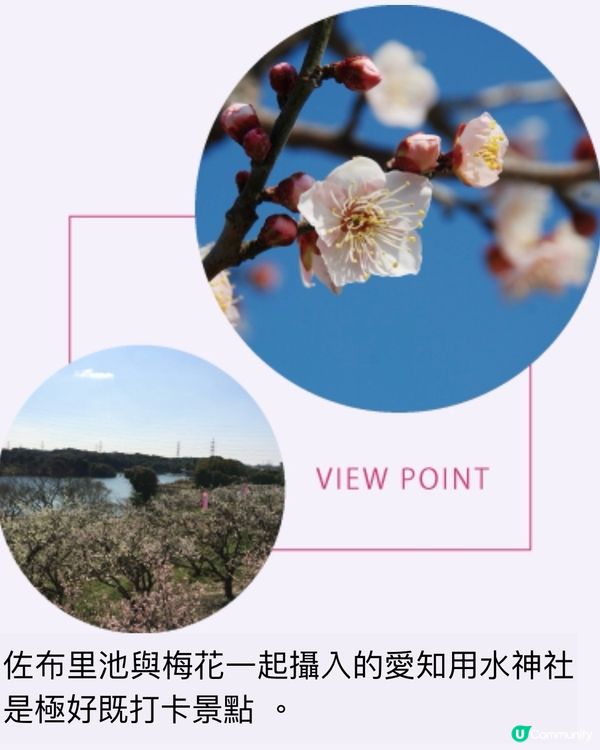 ✨能即場換裝打卡的梅花祭👘