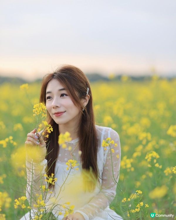 ｛珠海打卡熱點｝春日打卡💛油菜花田打卡攻略