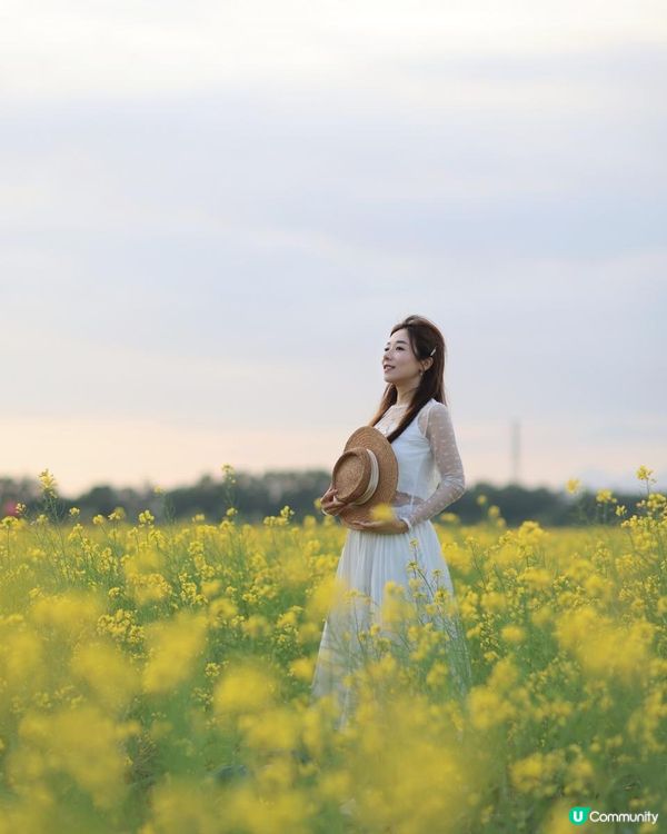 ｛珠海打卡熱點｝春日打卡💛油菜花田打卡攻略