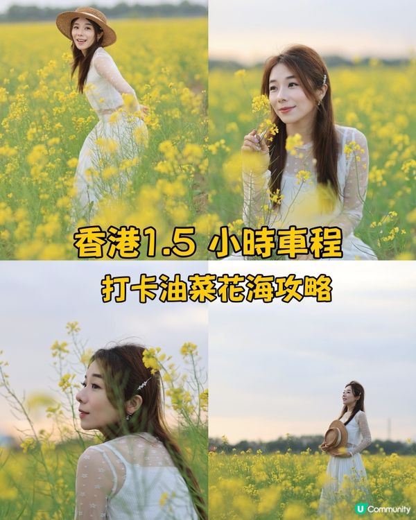 ｛珠海打卡熱點｝春日打卡💛油菜花田打卡攻略