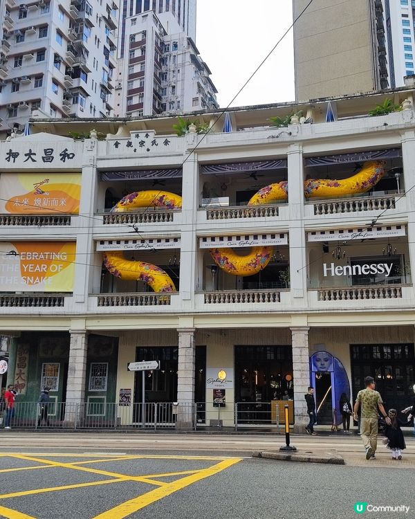 🐍和昌大押打過蛇卡🐍