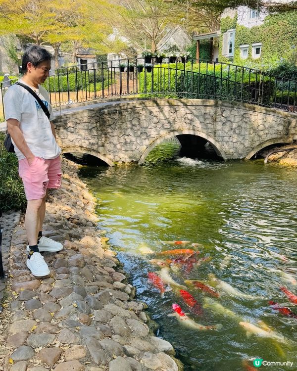 泰國小歐洲 Khao Yai, 靚到你唔信係泰國