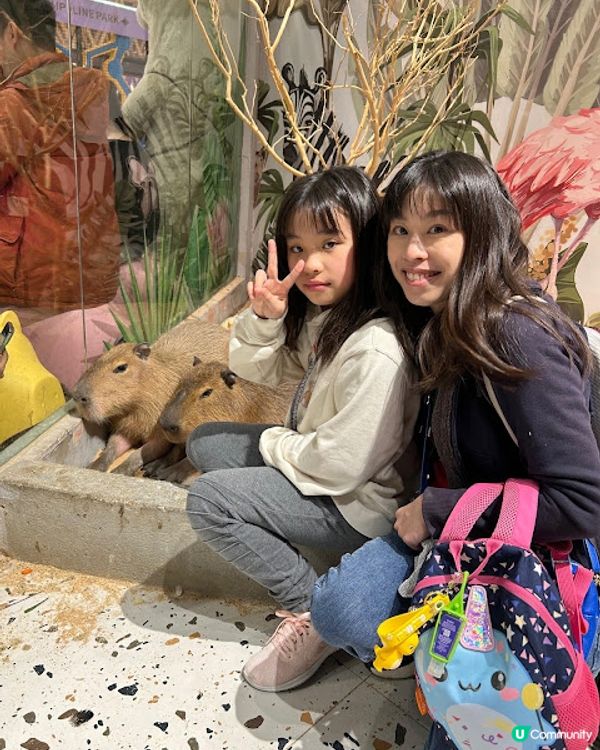 深圳親子遊 | 【Lollypet萌寵樂園】20+種動物零距離接觸 (低至$75全日票)