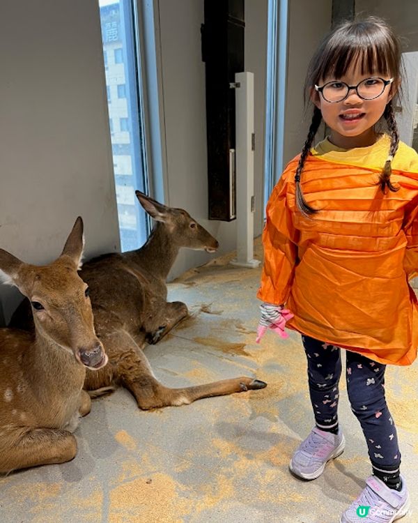 深圳親子遊 | 【Lollypet萌寵樂園】20+種動物零距離接觸 (低至$75全日票)