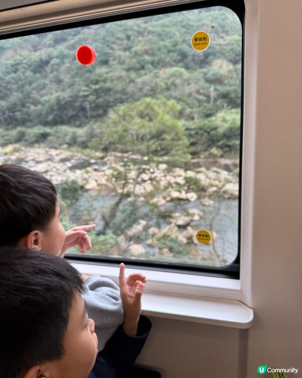 呢程台灣火車風景真係好靚💓