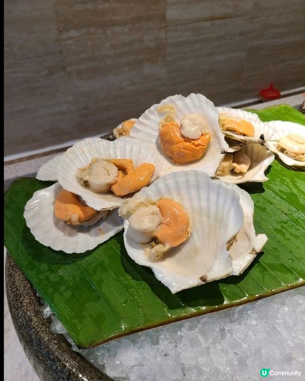 好味道😋蛇口希爾頓酒店