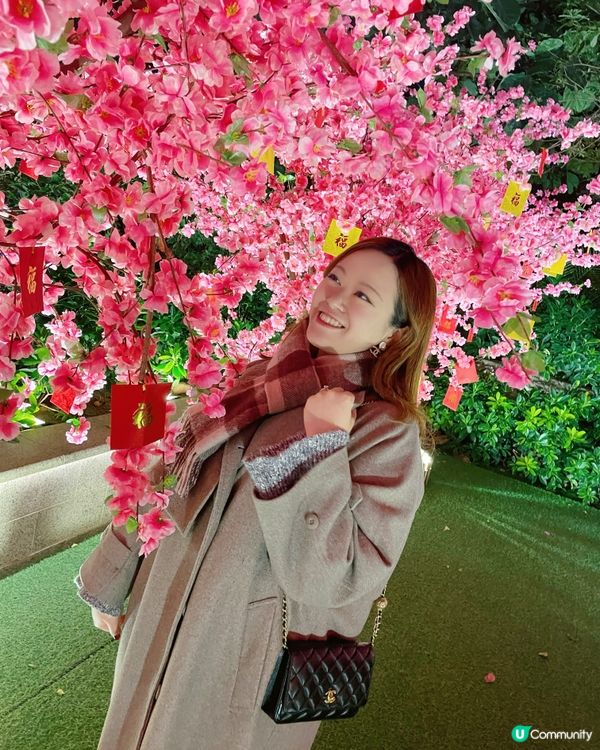 利東街燈海🏮新年打卡必到！