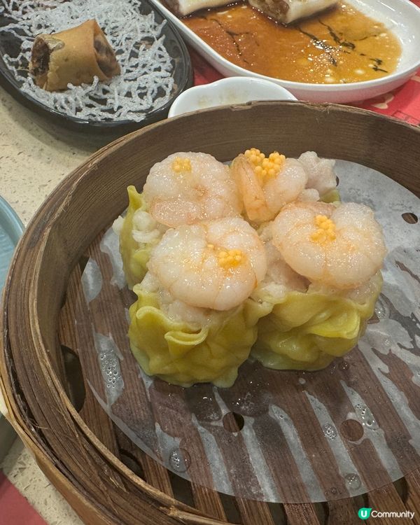 去深圳飲茶
