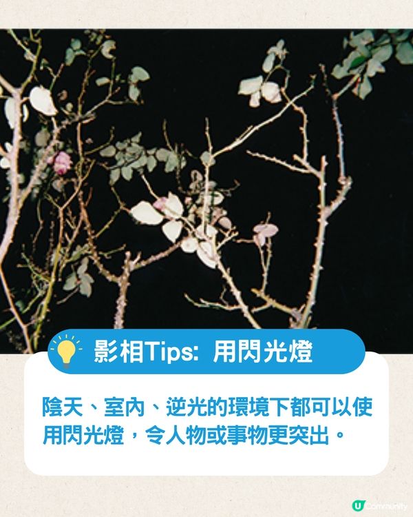 Fujifilm即棄相機新手教學📷附3大影相Tips💡日系相片輕鬆get❗